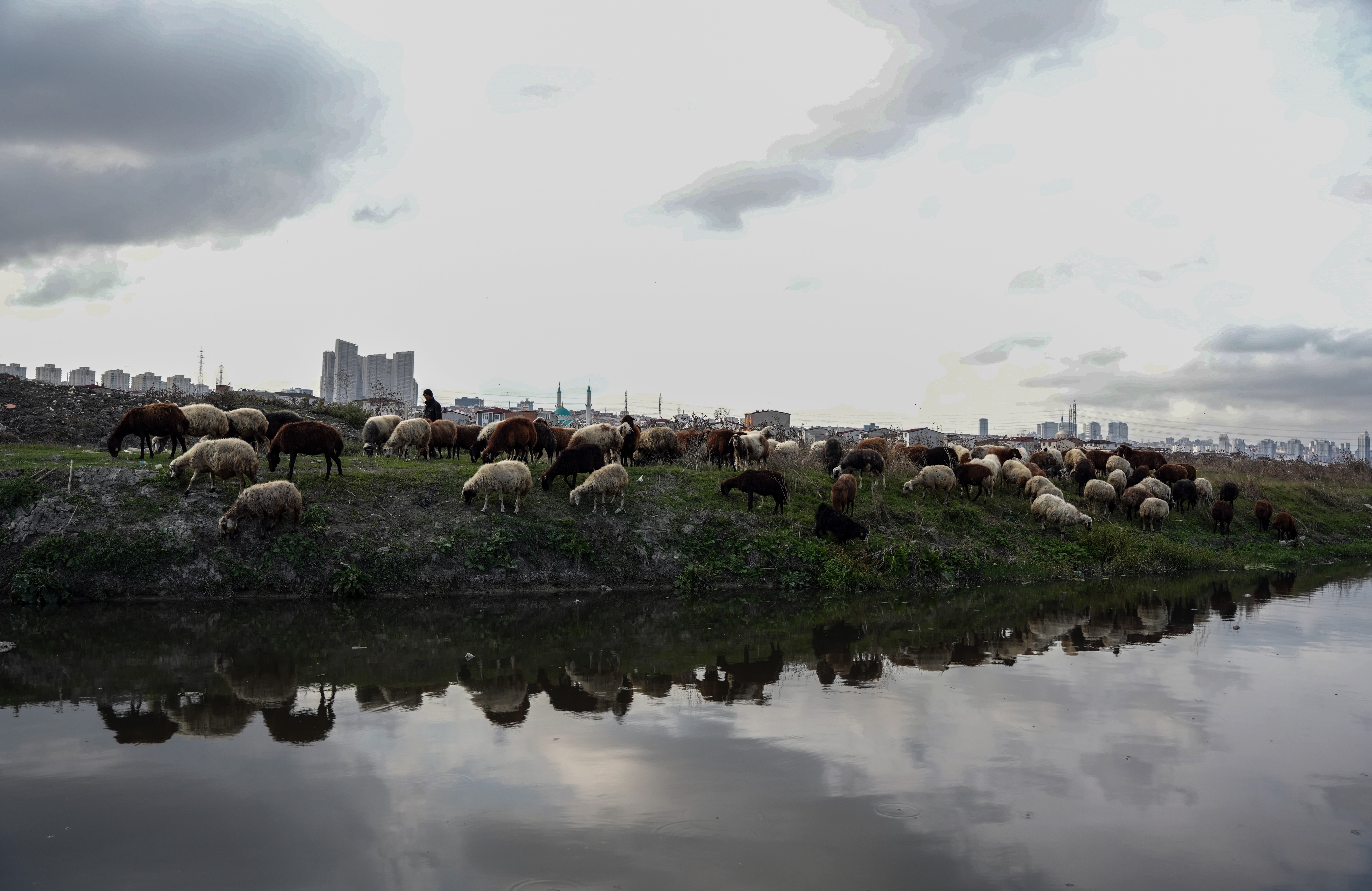 İstanbul'da siyaha bürünen dere kirlilik saçıyor