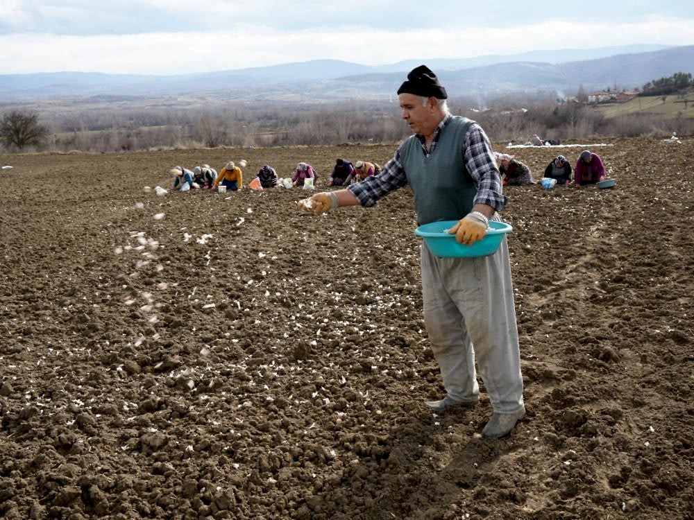 Annenin fedakarlık dolu yolculuğu: Çocukları için megakenti bırakıp toprağa sarıldı