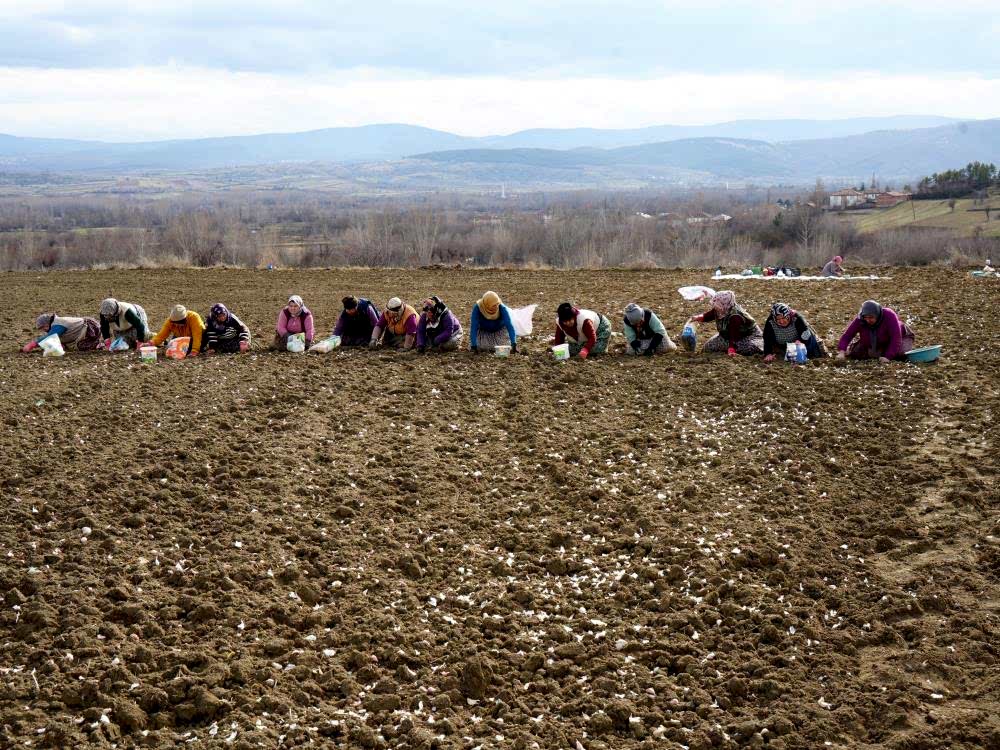 Annenin fedakarlık dolu yolculuğu: Çocukları için megakenti bırakıp toprağa sarıldı