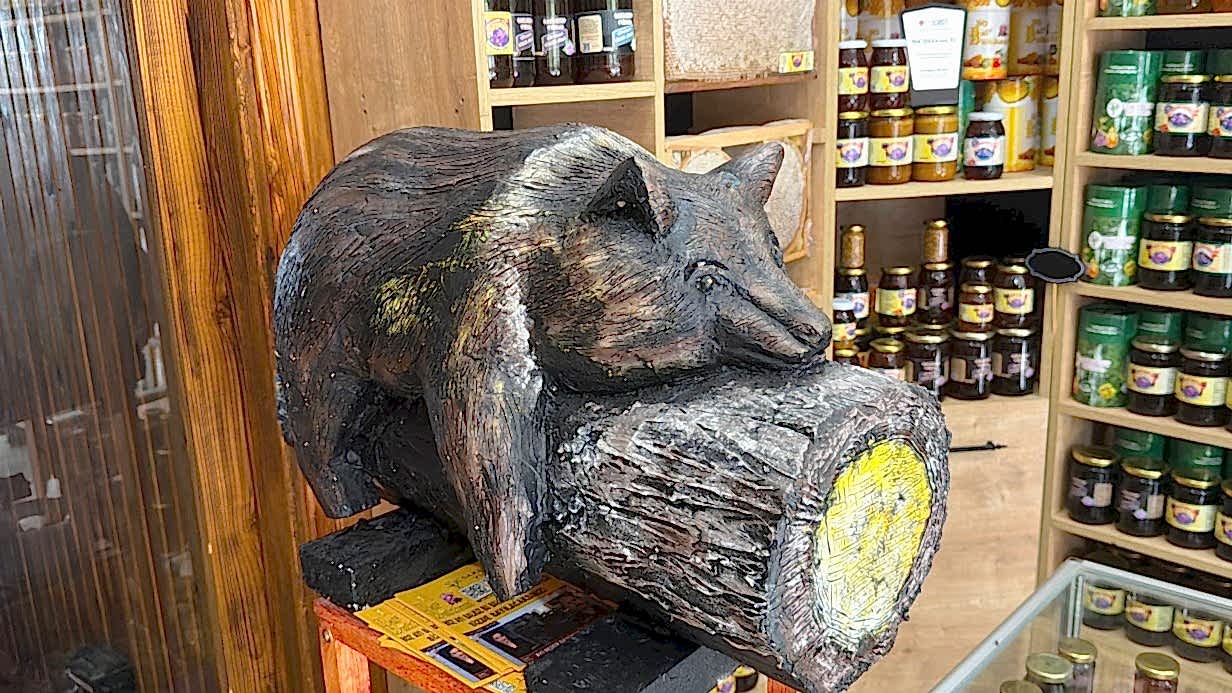 Bebek Otel'in sahibi Yıldırım'ın malvarlığına el konuldu