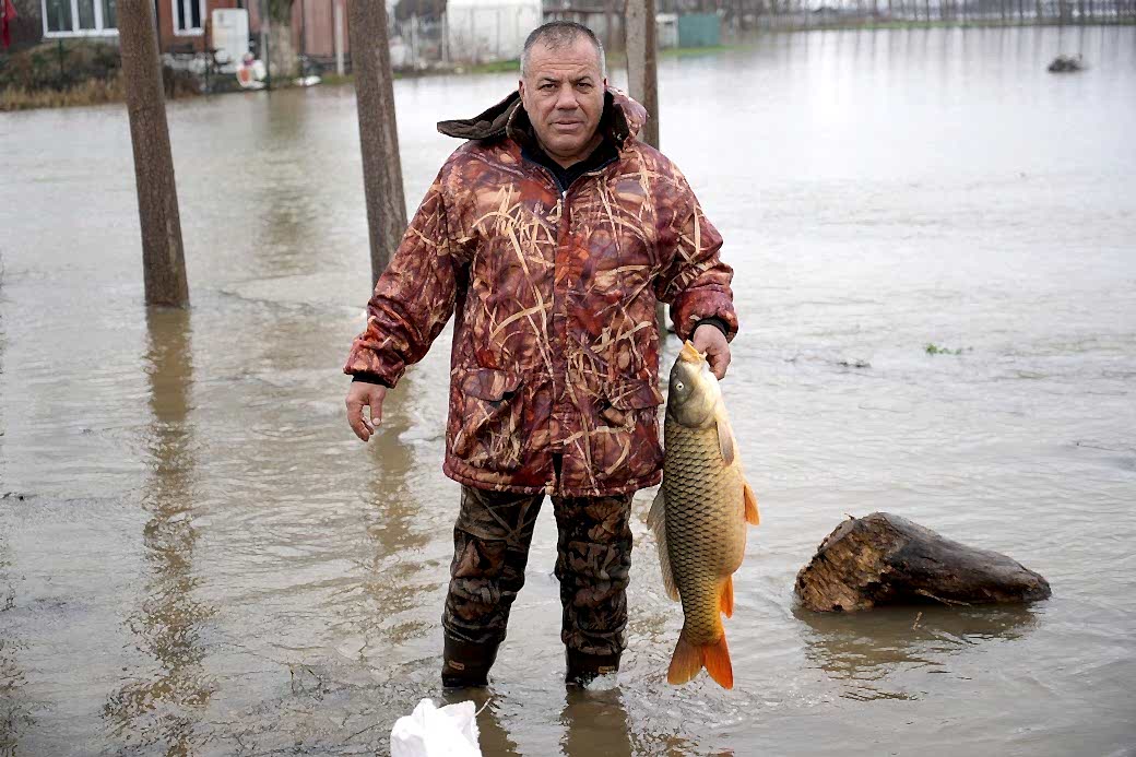 Meriç Nehri’nin taşmasıyla bazı vatandaşlar tarlasında canlı sazan balığı yakaladı