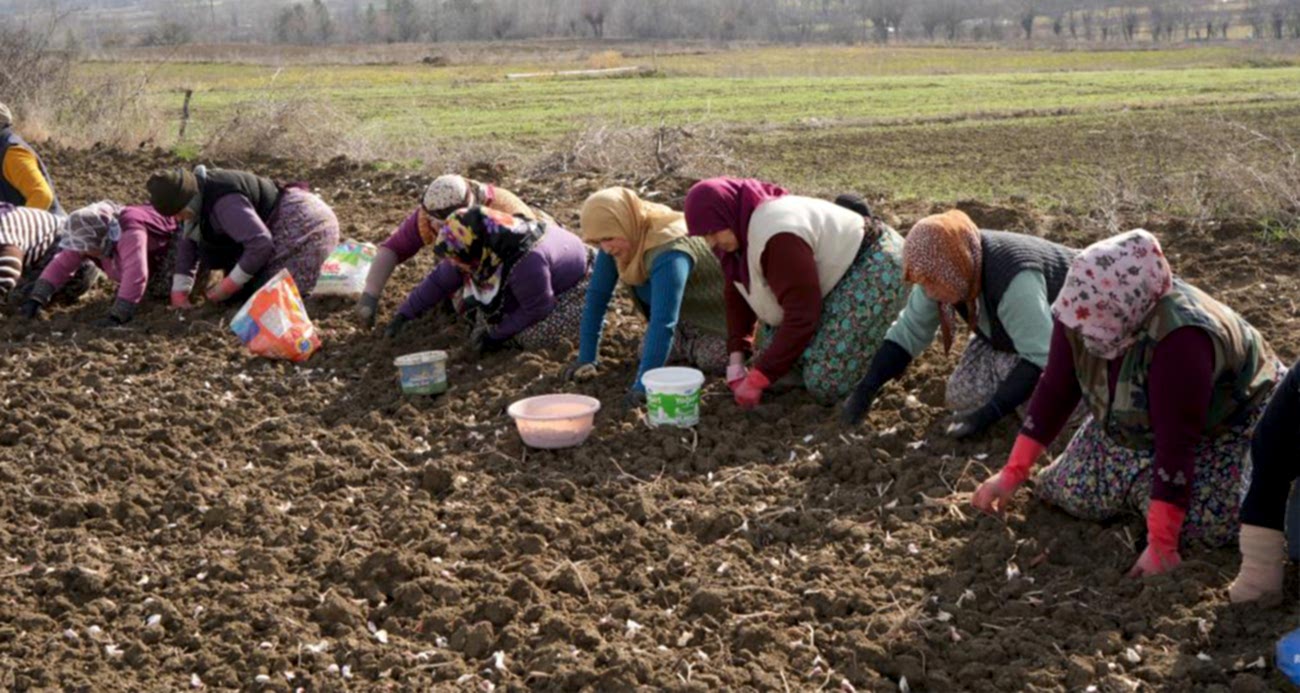 Annenin fedakarlık dolu yolculuğu: Çocukları için megakenti bırakıp toprağa sarıldı - GÜNDEM