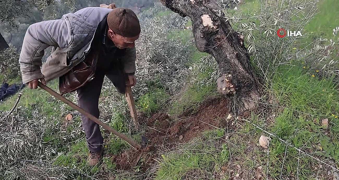 Film sahnesi değil gerçek: Azmiyle örnek oluyor - GÜNDEM