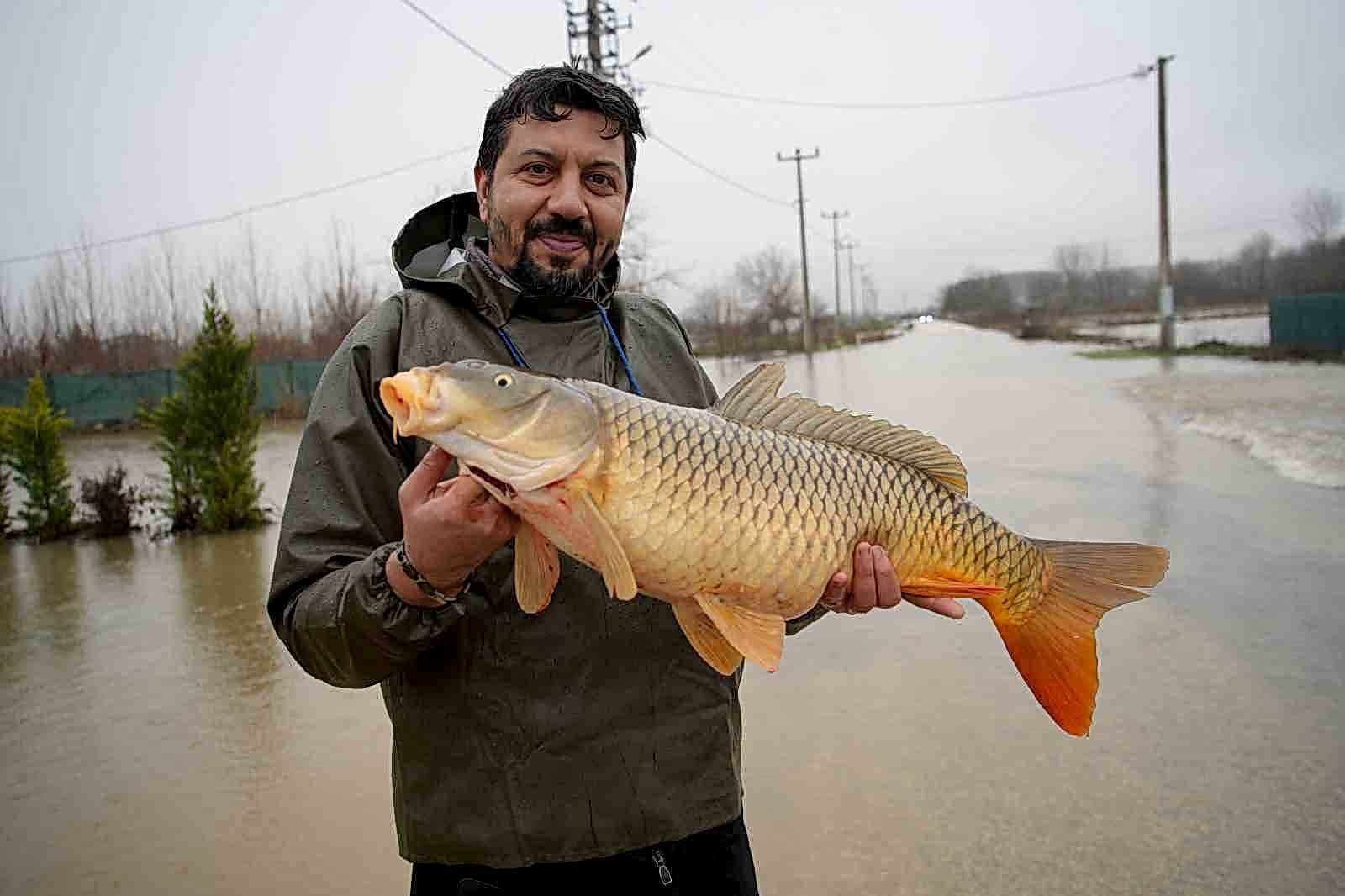 Meriç Nehri’nin taşmasıyla bazı vatandaşlar tarlasında canlı sazan balığı yakaladı - ÇEVRE