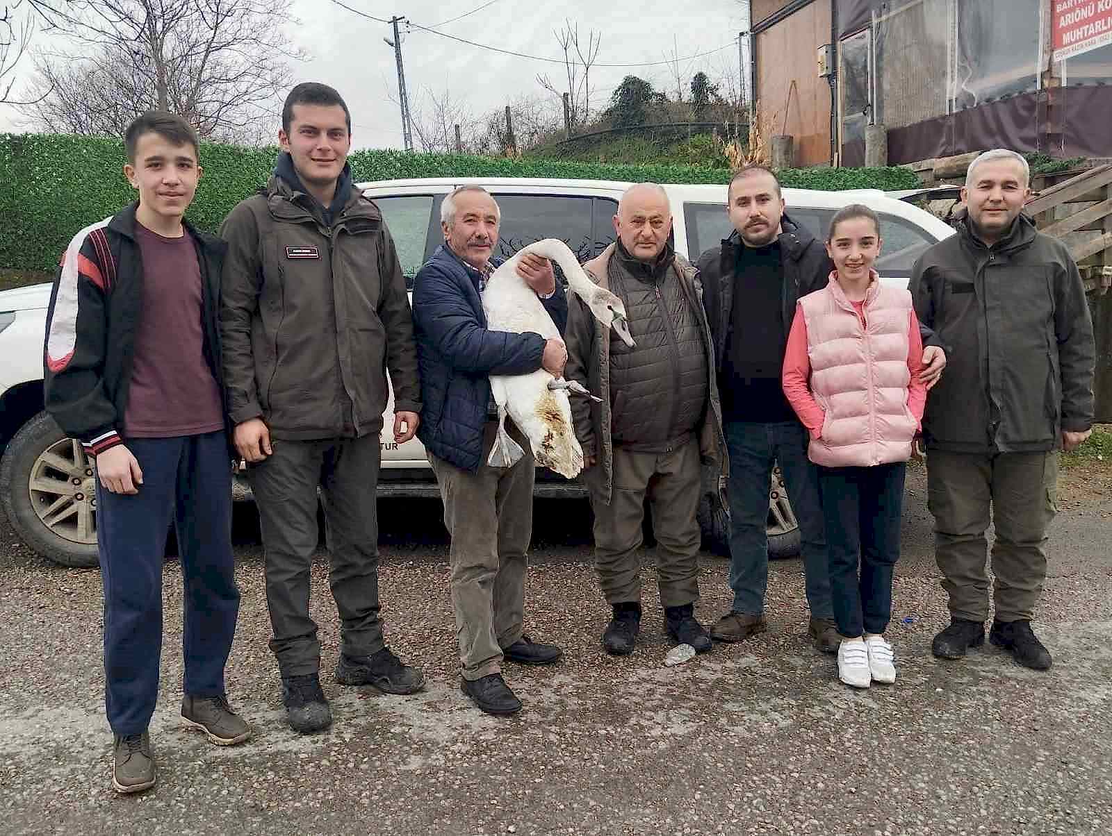 Sahil kenarında bulunan kuğu koruma altına alındı